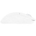 Ajazz Мишка Ajazz AJ199 MAX Carbon fiber Wireless/Bluetooth/USB White (AJ199-MAX-W)