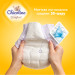 Chicolino Підгузки Chicolino Soft comfort Розмір 3 (4-9кг) 36 шт (4820204703530)