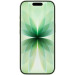 Apple Смартфон Apple iPhone 17 256GB Sage (MG6N4AF/A)