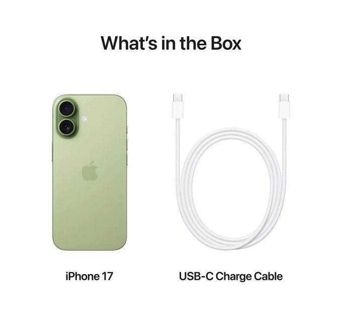 Apple Смартфон Apple iPhone 17 256GB Sage (MG6N4AF/A)