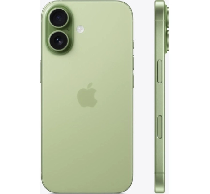 Apple Мобільний телефон Apple iPhone 17 256GB Sage (MG6N4)
