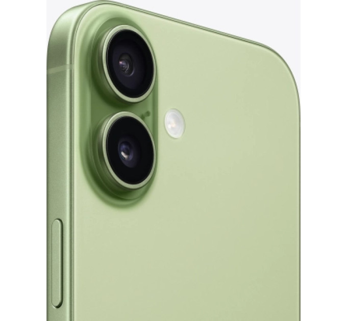 Apple Мобільний телефон Apple iPhone 17 256GB Sage (MG6N4)