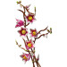 LEGO Конструктор LEGO Botanicals Magnolia Branches (11510)