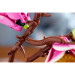 LEGO Конструктор LEGO Botanicals Magnolia Branches (11510)