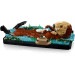 LEGO Конструктор LEGO Ideas Пливучі морські видри (21366)