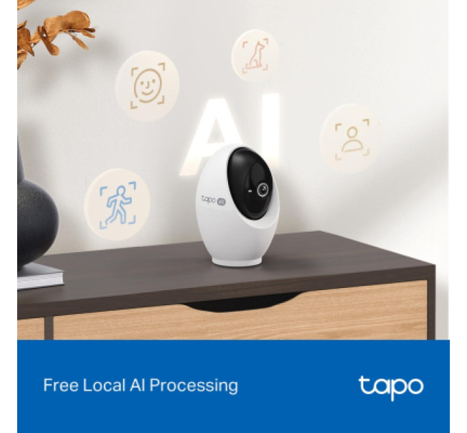 TP-Link Камера відеоспостереження TP-Link TAPO-C260