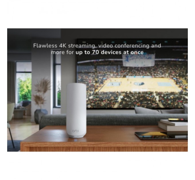 Точка доступу Wi-Fi Netgear RBE372-100EUS