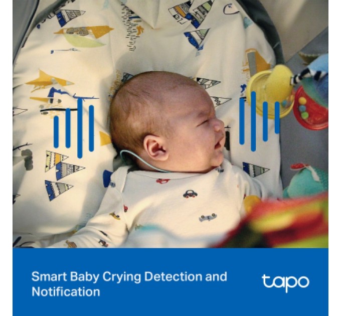 Камера відеоспостереження TP-Link TAPO-C216