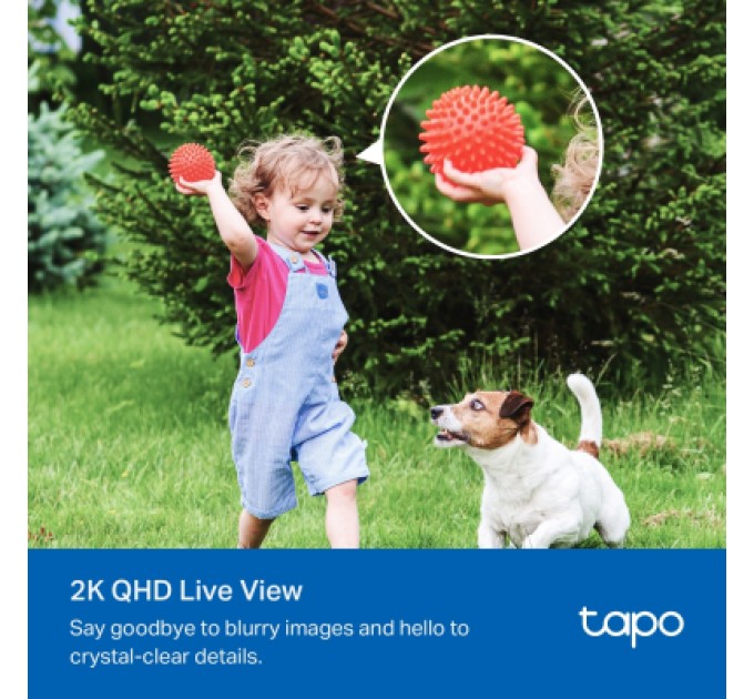 Камера відеоспостереження TP-Link TAPO-C425-KIT (TAPO-C425KIT)