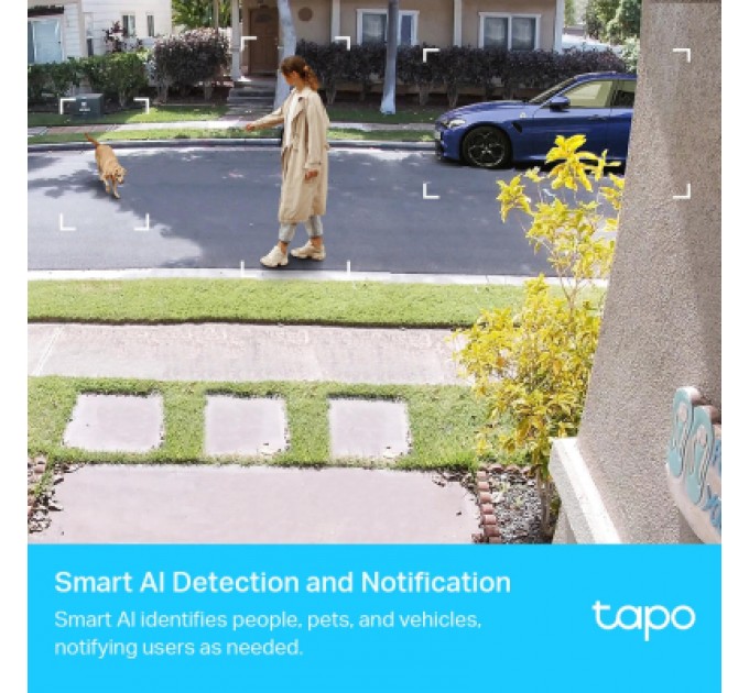 Камера відеоспостереження TP-Link TAPO-C420S2