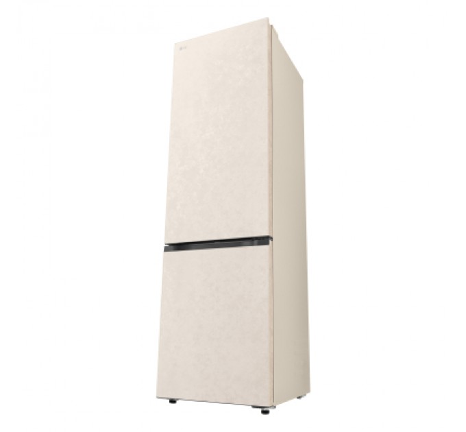 Холодильник LG GC-B509EESM