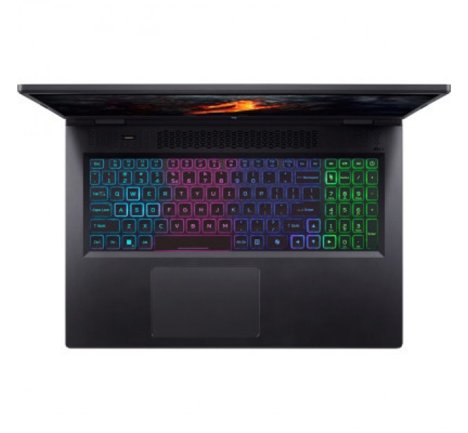 Acer Ноутбук Acer Nitro 17 AN17-42 (NH.QSDEU.005)