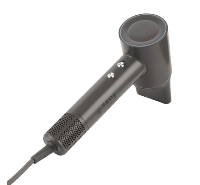 Rotex Фен Rotex RFS1064-ion ProSalon