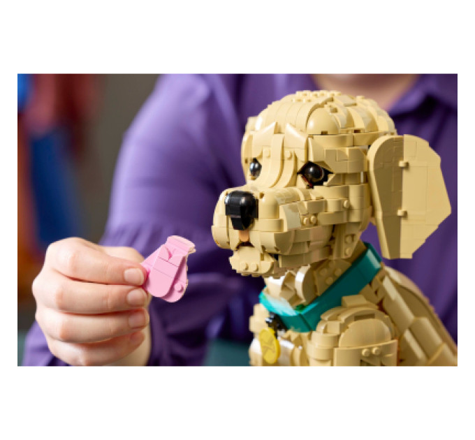LEGO Конструктор LEGO Icons Цуценя золотистого ретривера (11384)