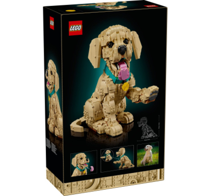 LEGO Конструктор LEGO Icons Цуценя золотистого ретривера (11384)