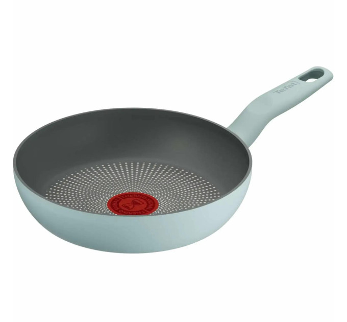 Tefal Kitchenware Сковорода Tefal Halo EUCALYPTUS, 20см, алюміній, бакеліт, сірий