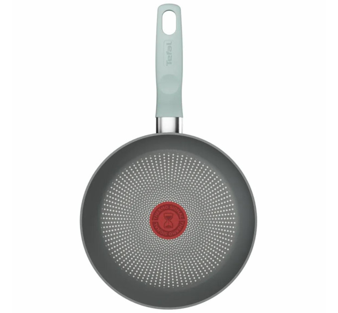 Tefal Kitchenware Сковорода Tefal Halo EUCALYPTUS, 24см, алюміній, бакеліт, сірий