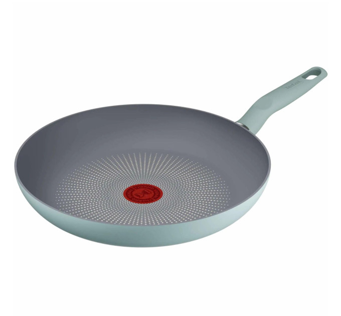 Tefal Kitchenware Сковорода Tefal Halo EUCALYPTUS, 28см, алюміній, бакеліт, сірий