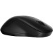 HP Мишка HP 255 Wireless Black (8R3U1UT)