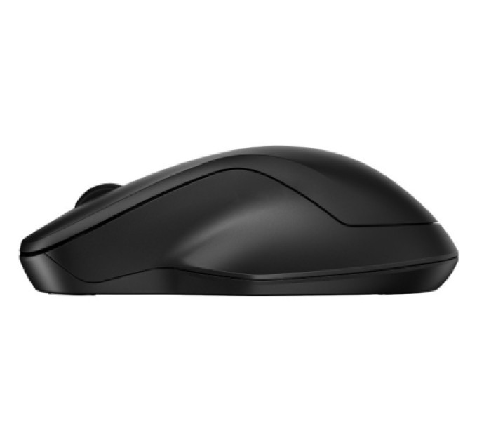 HP Мишка HP 255 Wireless Black (8R3U1UT)