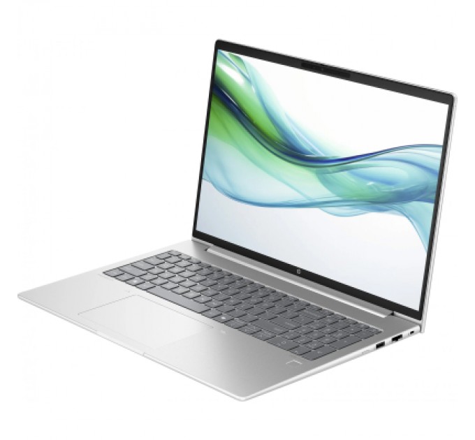 HP Ноутбук HP ProBook 460 G11 (8Z680AV_V2)