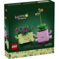 LEGO Конструктор LEGO Botanicals Рослини, що гойдаються (11506)