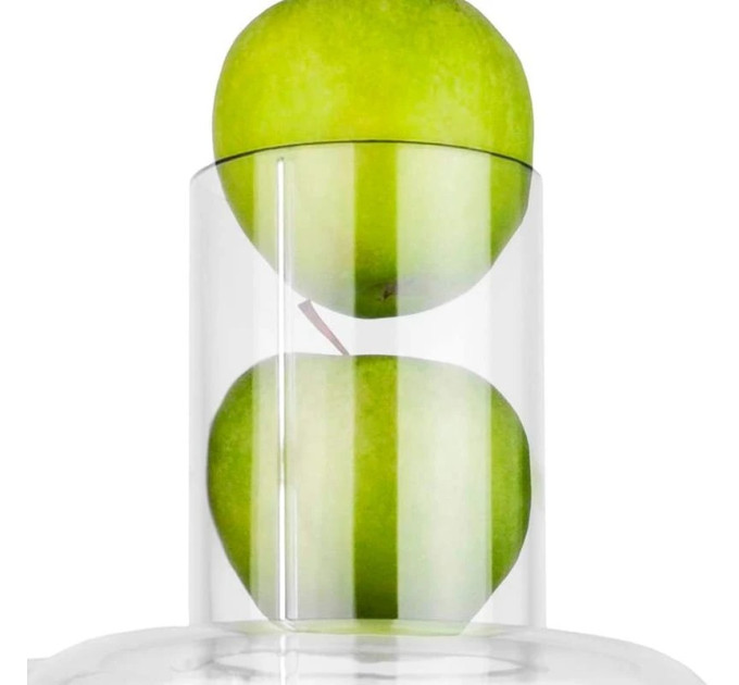 Gastroback Соковижималка Gastroback Vital Juicer Pro (40117)