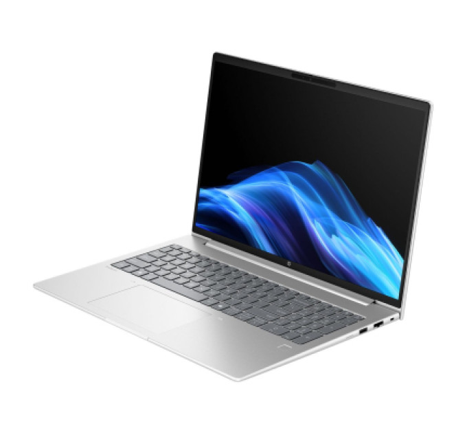 HP Ноутбук HP ProBook 4 G1a (D4VG3ET)