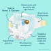 Pampers Підгузки Pampers Premium Care Розмір 7 (15+ кг) 99 шт (8006530223584)