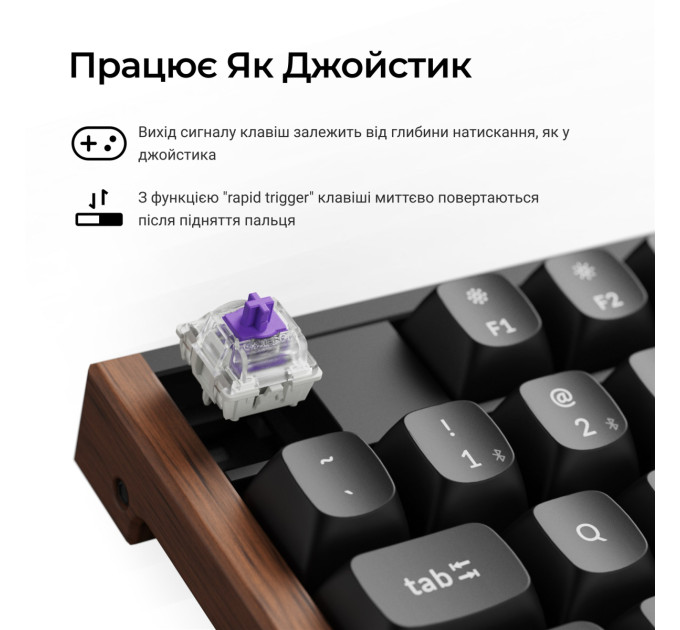 Keychron Клавіатура бездротова Keychron K10 HE Magnetic Switch Black RGB (K10H-F1-UA)