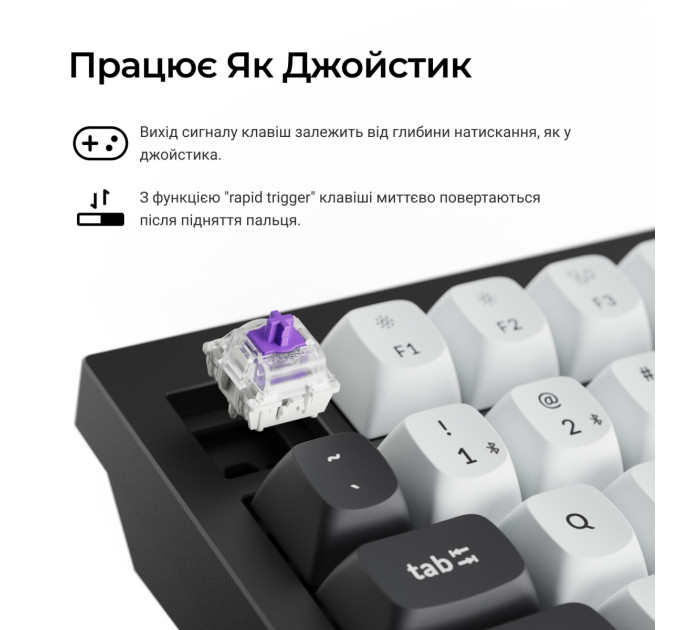 Keychron Клавіатура бездротова Keychron Q6 HE Magnetic Switch Black RGB (Q6H-M1-UA)