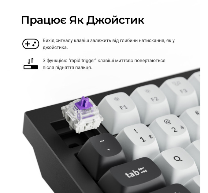 Keychron Клавіатура бездротова Keychron Q1 HE Magnetic Switch Black RGB (Q1H-M1-UA)