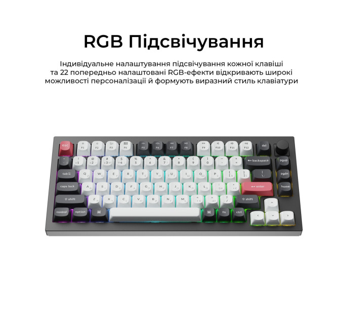 Keychron Клавіатура бездротова Keychron Q1 HE Magnetic Switch Black RGB (Q1H-M1-UA)