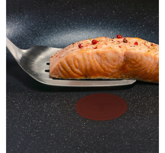 Tefal Сковорода Tefal Expertise з кришкою 24см чорний (G3218402)