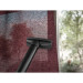 Electrolux Пилосос Electrolux EP51AH18DG