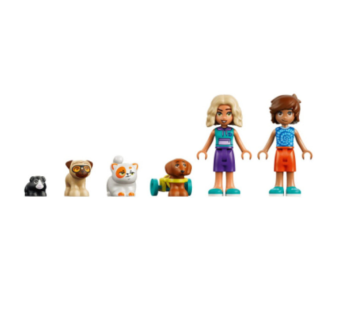 LEGO Конструктор LEGO Friends Веселий день в аквапарку (42676)