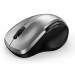Genius Мишка Genius Ergo 8200S Wireless Silver (31030029404)