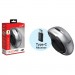 Genius Мишка Genius Ergo 8200S Wireless Silver (31030029404)
