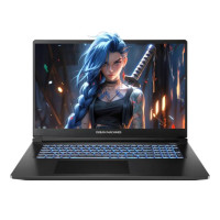 Ноутбук Dream Machines RG5050-17 17.3FHD IPS, Intel i5-13420H, 16GB, F512GB, NVD5050-8, DOS, чорний