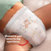 Pampers Підгузки Pampers Active Baby Pants Розмір 8 (17+ кг) 64 шт (8006530304627)