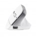 Trust Мишка Trust Bayo II Ergonomic Wireless White (25398)