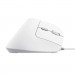 Trust Мишка Trust Bayo II Ergonomic USB White (25397)