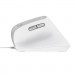 Trust Мишка Trust Bayo II Ergonomic USB White (25397)