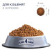 Club 4 Paws Сухий корм для кішок Club 4 Paws Преміум. Для кошенят зі смаком курки 300 г (4820083909115)