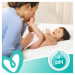 Pampers Дитячі вологі серветки Pampers Sens 80 шт (8001841041421)