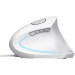 Trust Мишка Trust Verto Ergonomic USB White (25133)