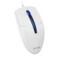 A4Tech Мишка A4Tech N-530 USB White (4711421987479)