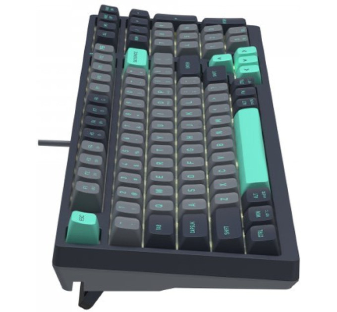 A4Tech Клавіатура A4Tech FS300 FS Switches USB Panda Rock Climbin (4711422003086)