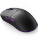 Dark Project Мишка Dark Project Novus Pro Wireless Black (DPP_Novus_PRO_BB)