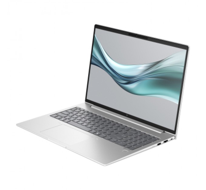 HP Ноутбук HP EliteBook 665 G11 (8Z719AV_V1)